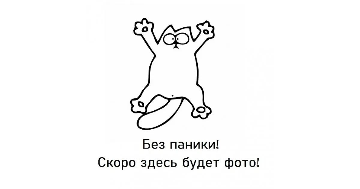 9e3954f8fa5c2329.png