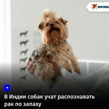 https://s.fotora.ru/b55870cb01c44130.jpeg
