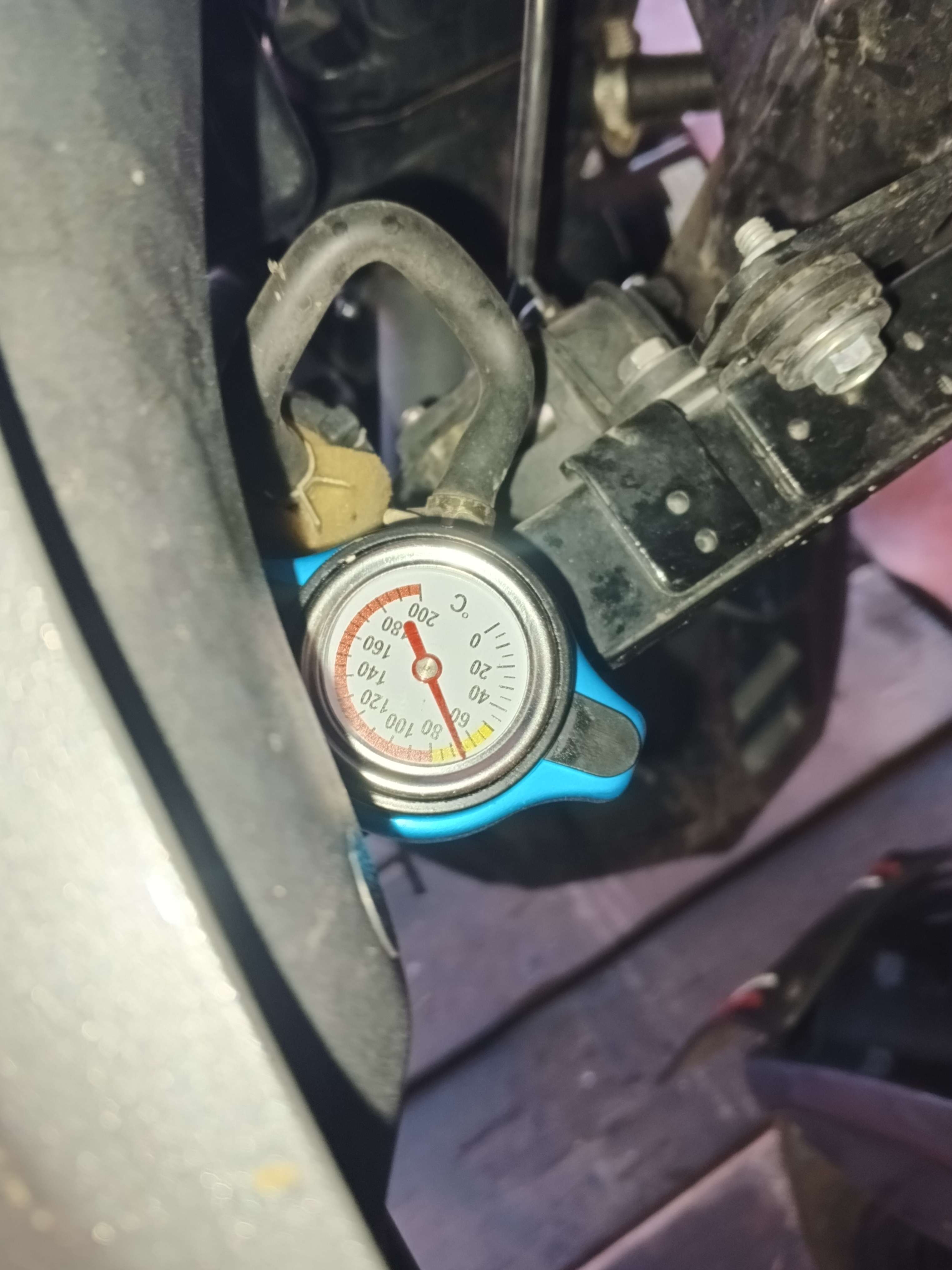 c21a7617057a0739.jpeg